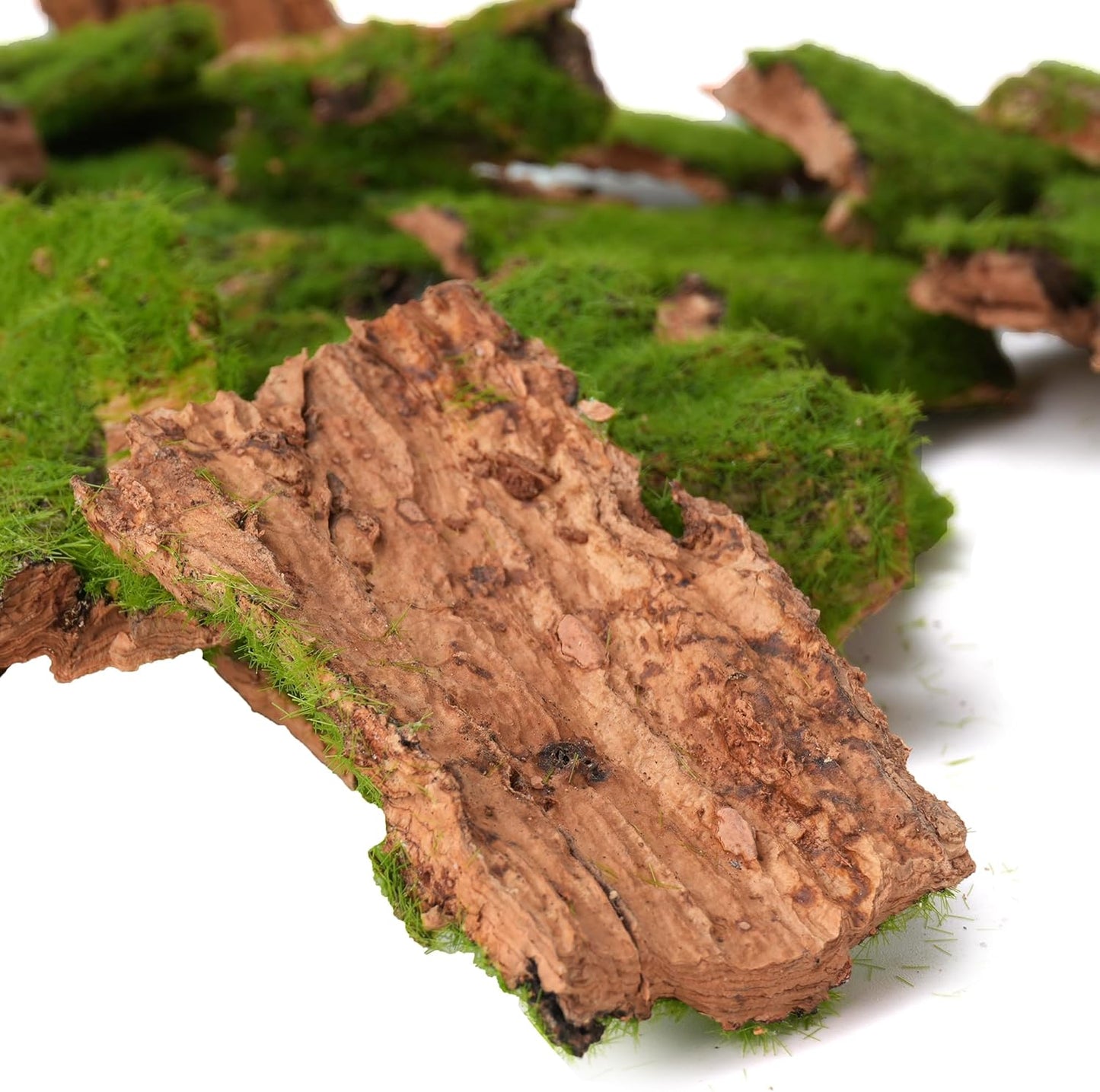 BYHER Assorted Artificial Moss Bark, Decorative Mossy Tree Bark for DIY Crafts, Fairy Gardens, Terrariums, Floral Arrangements (Realistic Green - 100gr)